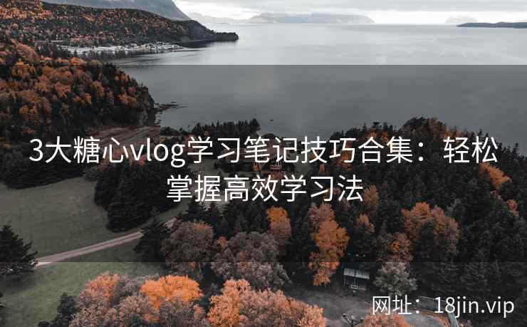3大糖心vlog学习笔记技巧合集：轻松掌握高效学习法  第1张