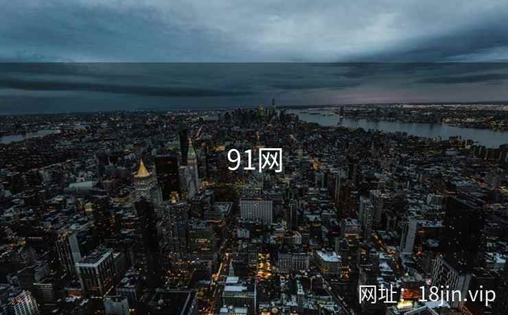 91网 第1张