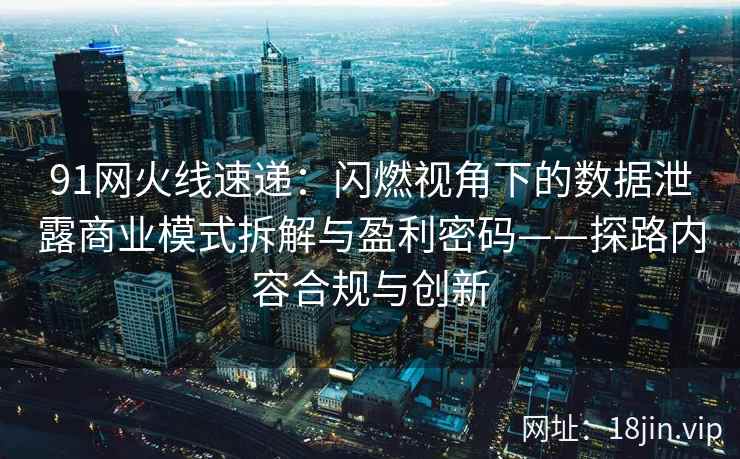 91网火线速递：闪燃视角下的数据泄露商业模式拆解与盈利密码——探路内容合规与创新