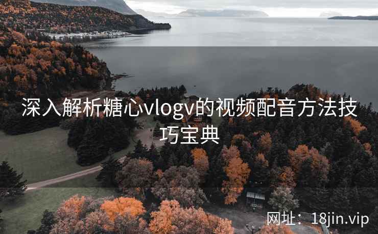 深入解析糖心vlogv的视频配音方法技巧宝典