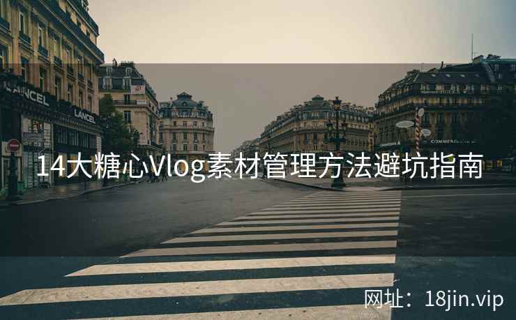 14大糖心Vlog素材管理方法避坑指南
