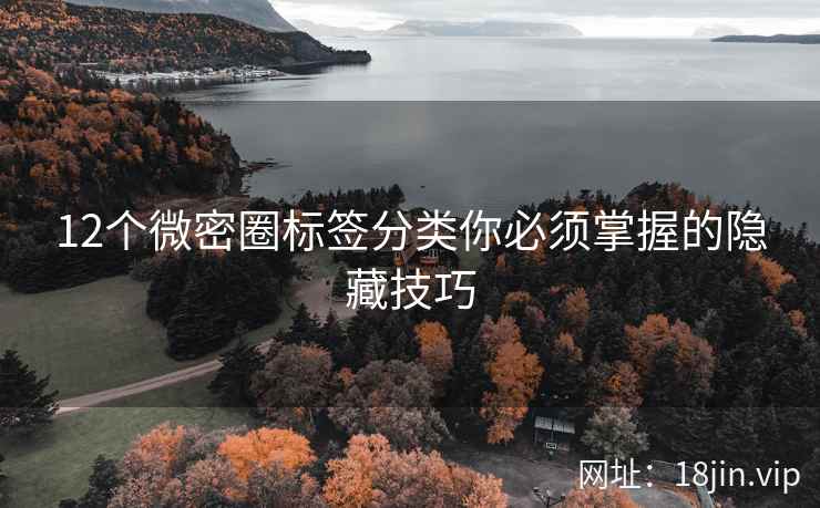 12个微密圈标签分类你必须掌握的隐藏技巧