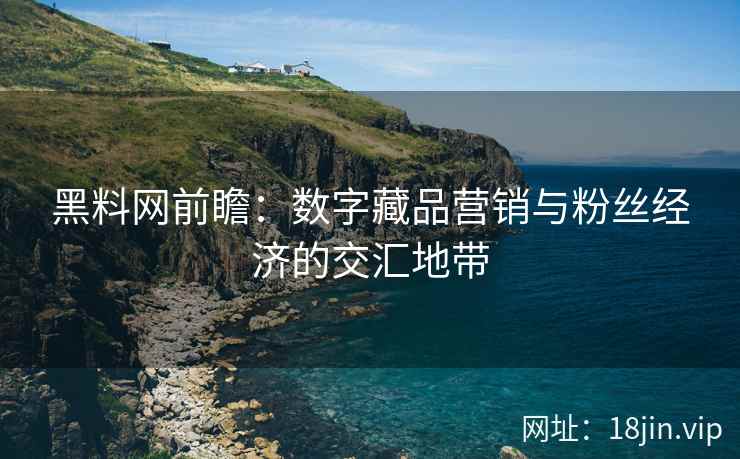 黑料网前瞻：数字藏品营销与粉丝经济的交汇地带