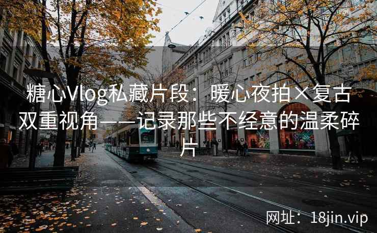 糖心Vlog私藏片段:暖心夜拍×复古双重视角——记录那些不经意的温柔碎片