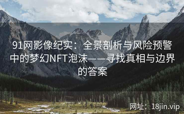 91网影像纪实：全景剖析与风险预警中的梦幻NFT泡沫——寻找真相与边界的答案