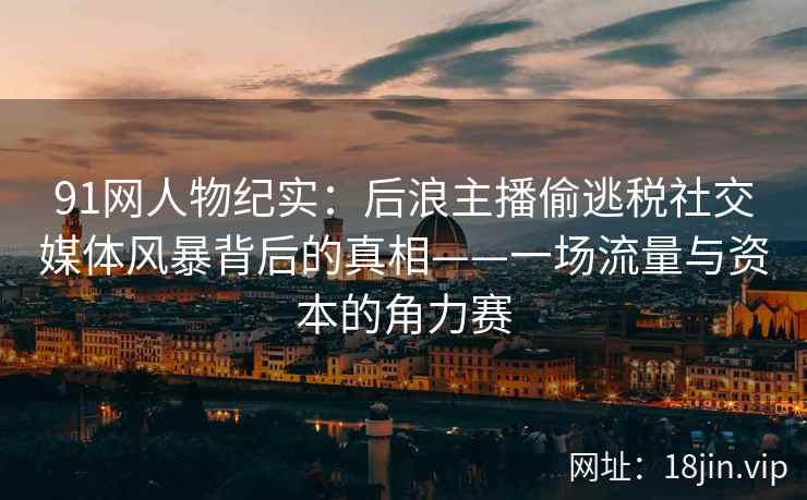 91网人物纪实：后浪主播偷逃税社交媒体风暴背后的真相——一场流量与资本的角力赛