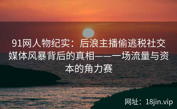 91网人物纪实：后浪主播偷逃税社交媒体风暴背后的真相——一场流量与资本的角力赛