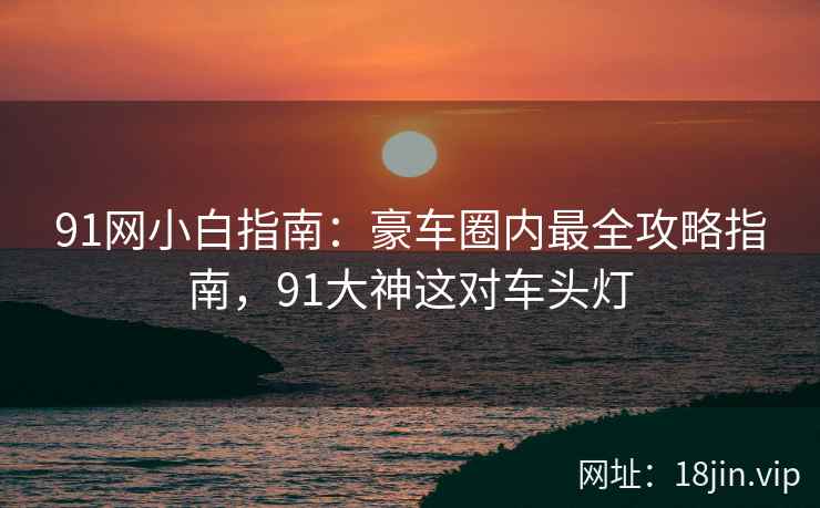 91网小白指南：豪车圈内最全攻略指南，91大神这对车头灯