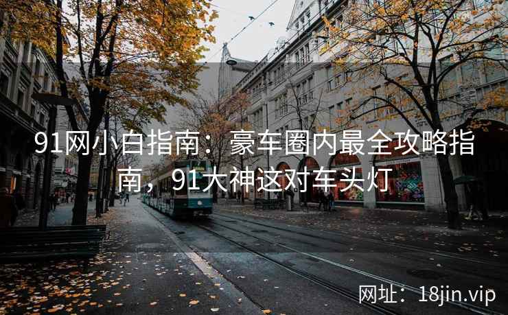 91网小白指南：豪车圈内最全攻略指南，91大神这对车头灯