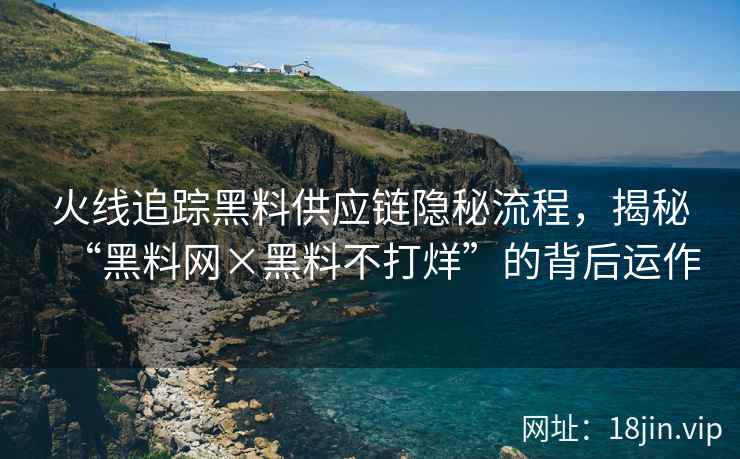 火线追踪黑料供应链隐秘流程，揭秘“黑料网×黑料不打烊”的背后运作