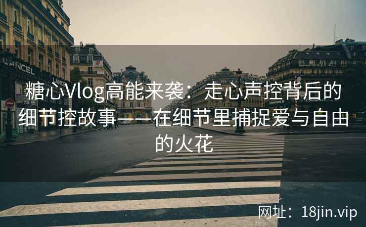 糖心Vlog高能来袭:走心声控背后的细节控故事——在细节里捕捉爱与自由的火花